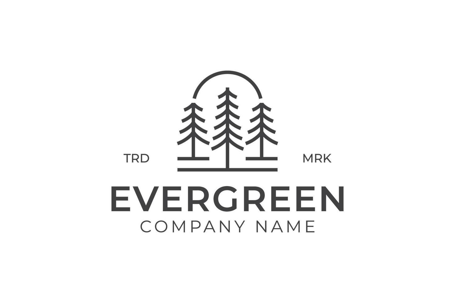 pine evergreen or conifer cedar coniferous cypress larch, pine tree forest vintage line art Logo design vector template