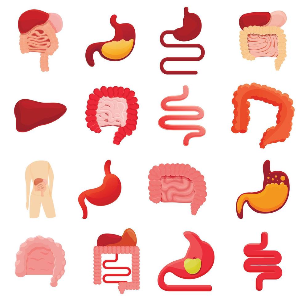 Digestion icons set, cartoon style vector