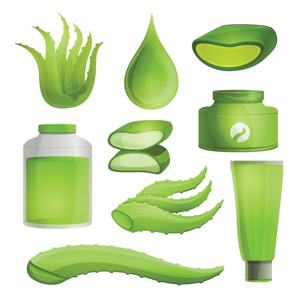 Aloe vera icon set, cartoon style vector