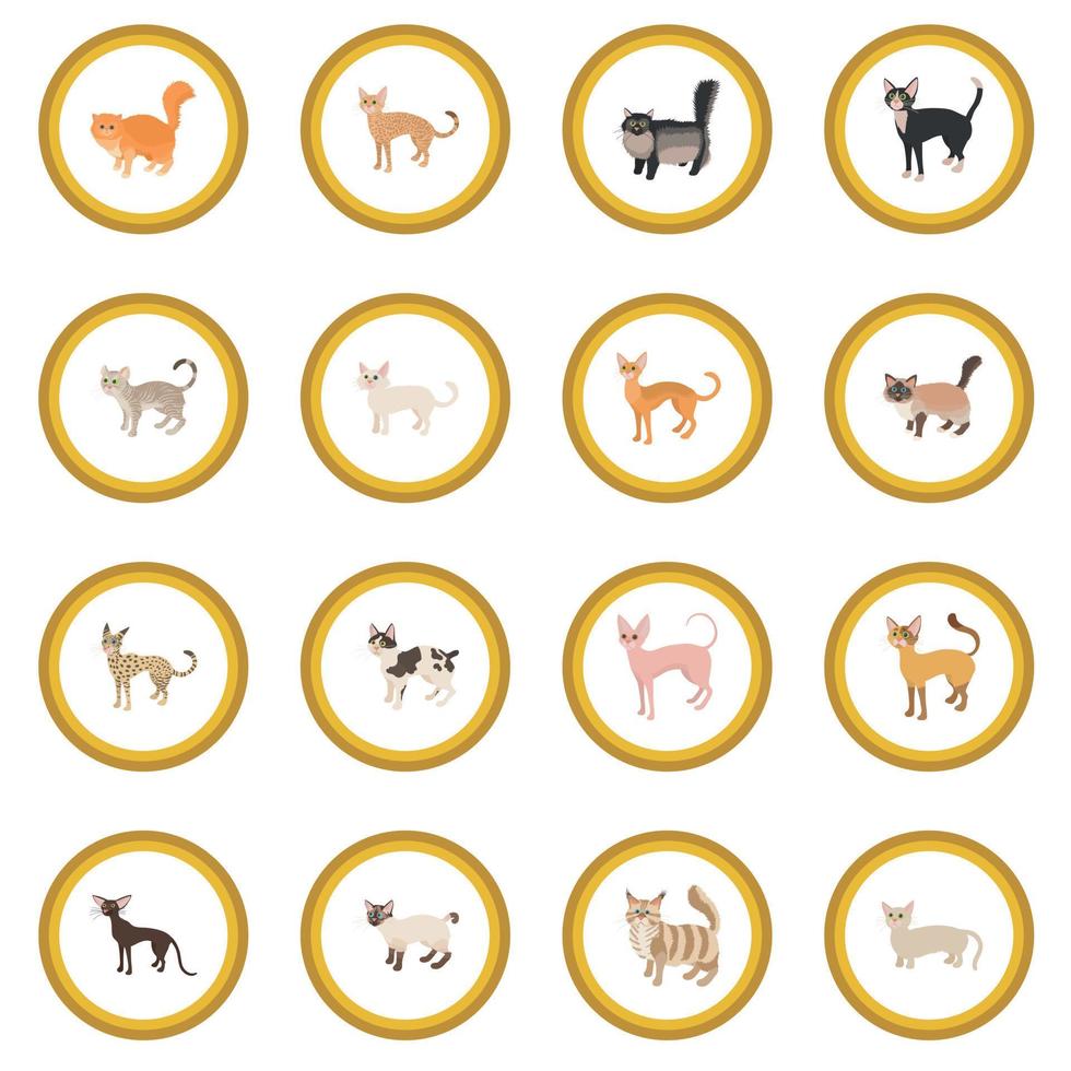 Cat icon circle vector