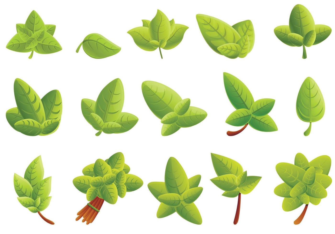 Basil icons set, cartoon style vector