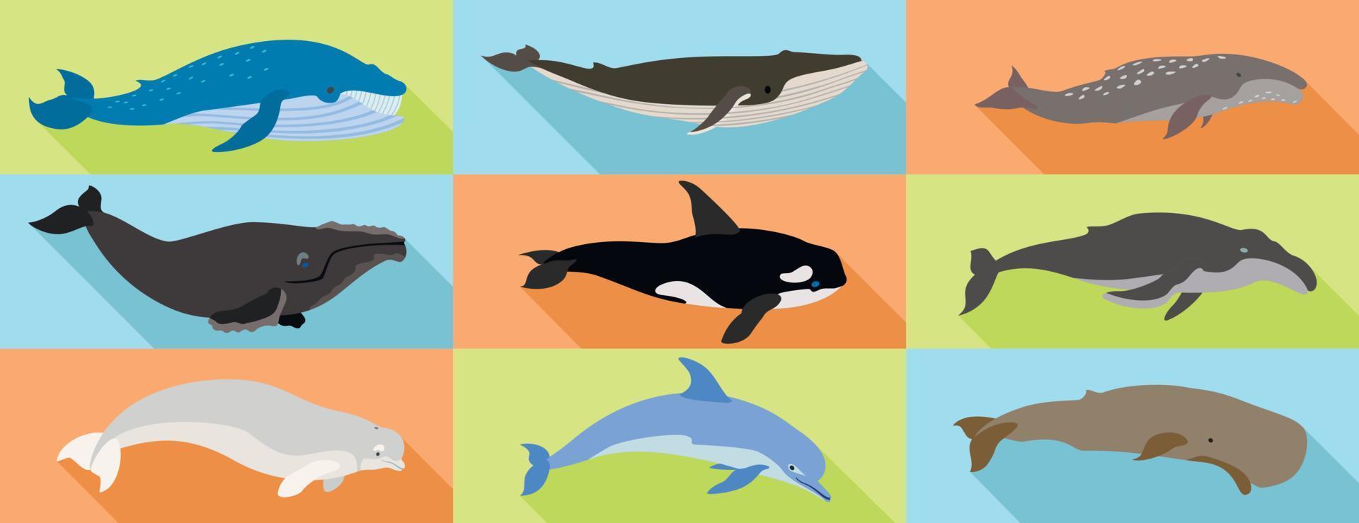 Whale icons set, flat style vector