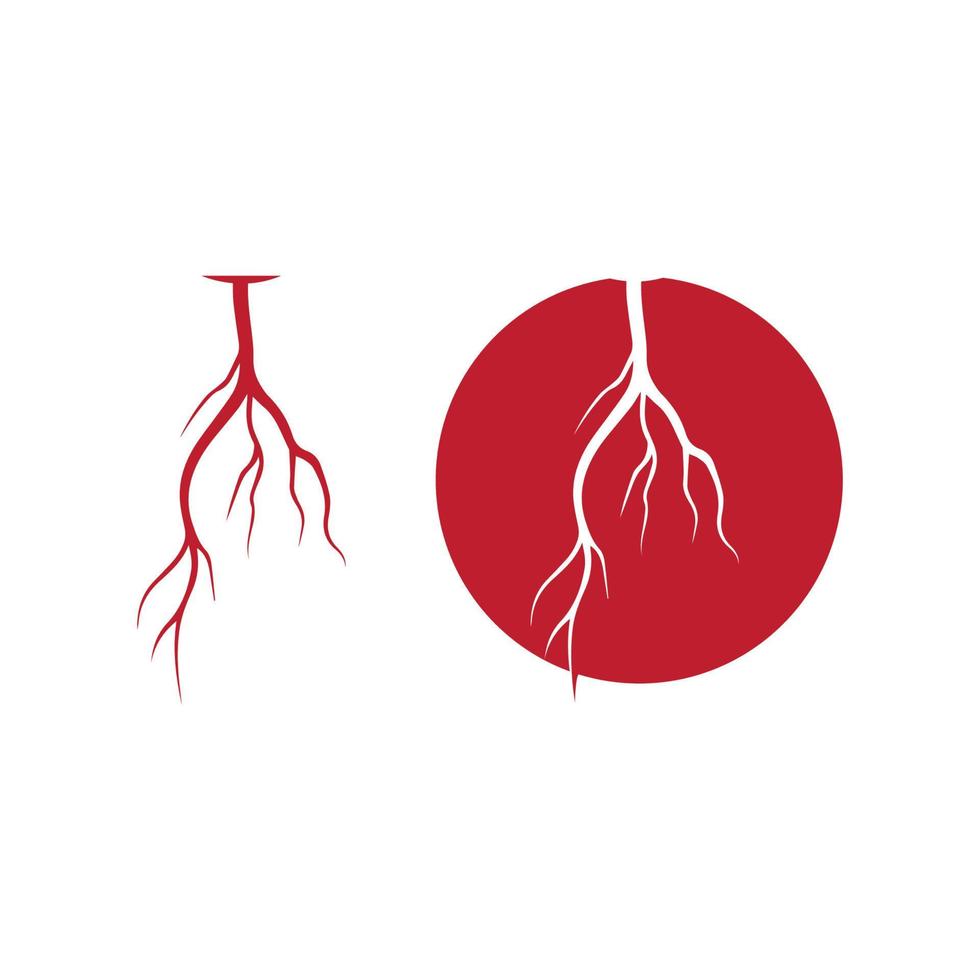 venas humanas, diseño de vasos sanguíneos rojos e ilustraciones vectoriales de arterias aisladas vector