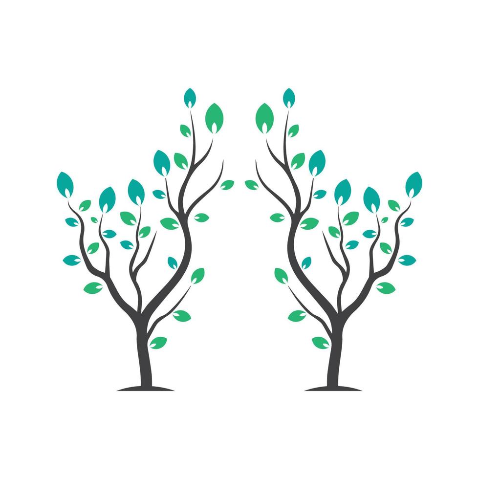 Vector branch , Hand drawn illustration of tree branch design template