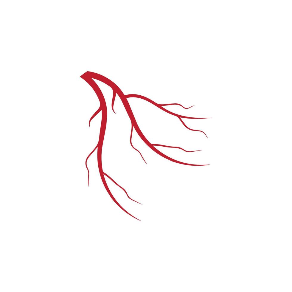 venas humanas, diseño de vasos sanguíneos rojos e ilustraciones vectoriales de arterias aisladas vector