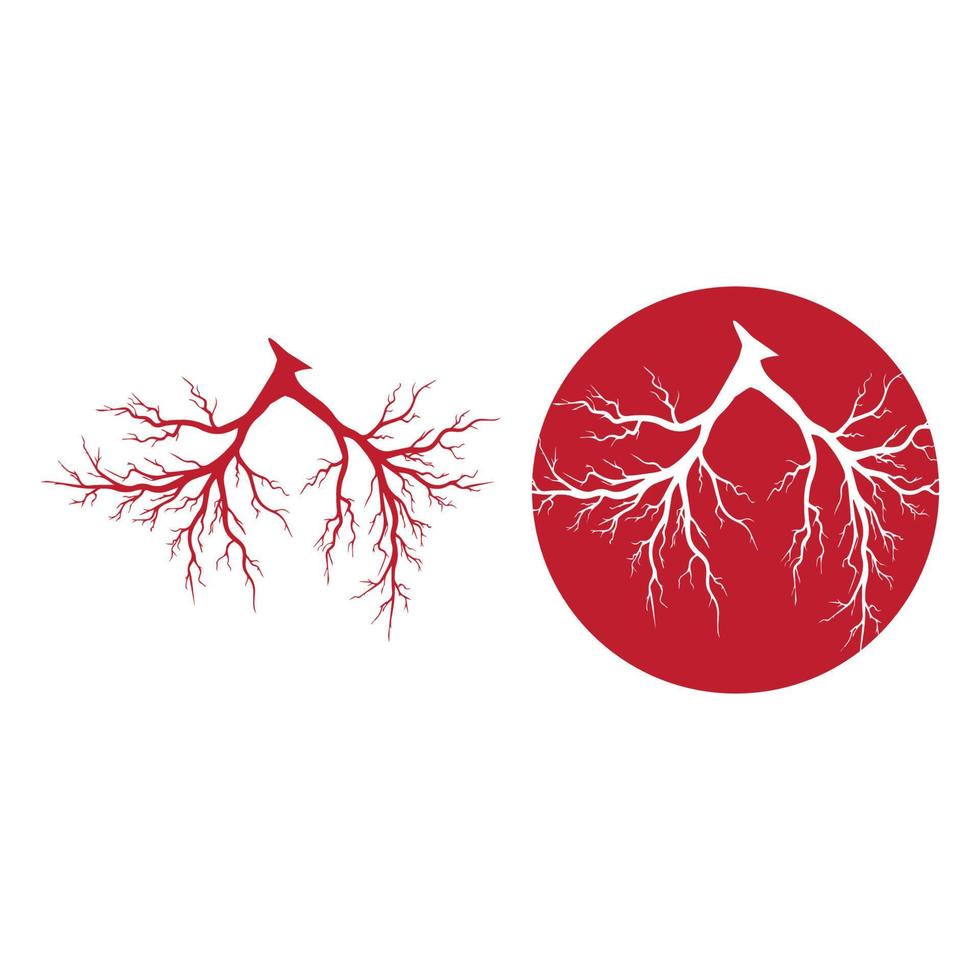 venas humanas, diseño de vasos sanguíneos rojos e ilustraciones vectoriales de arterias aisladas vector