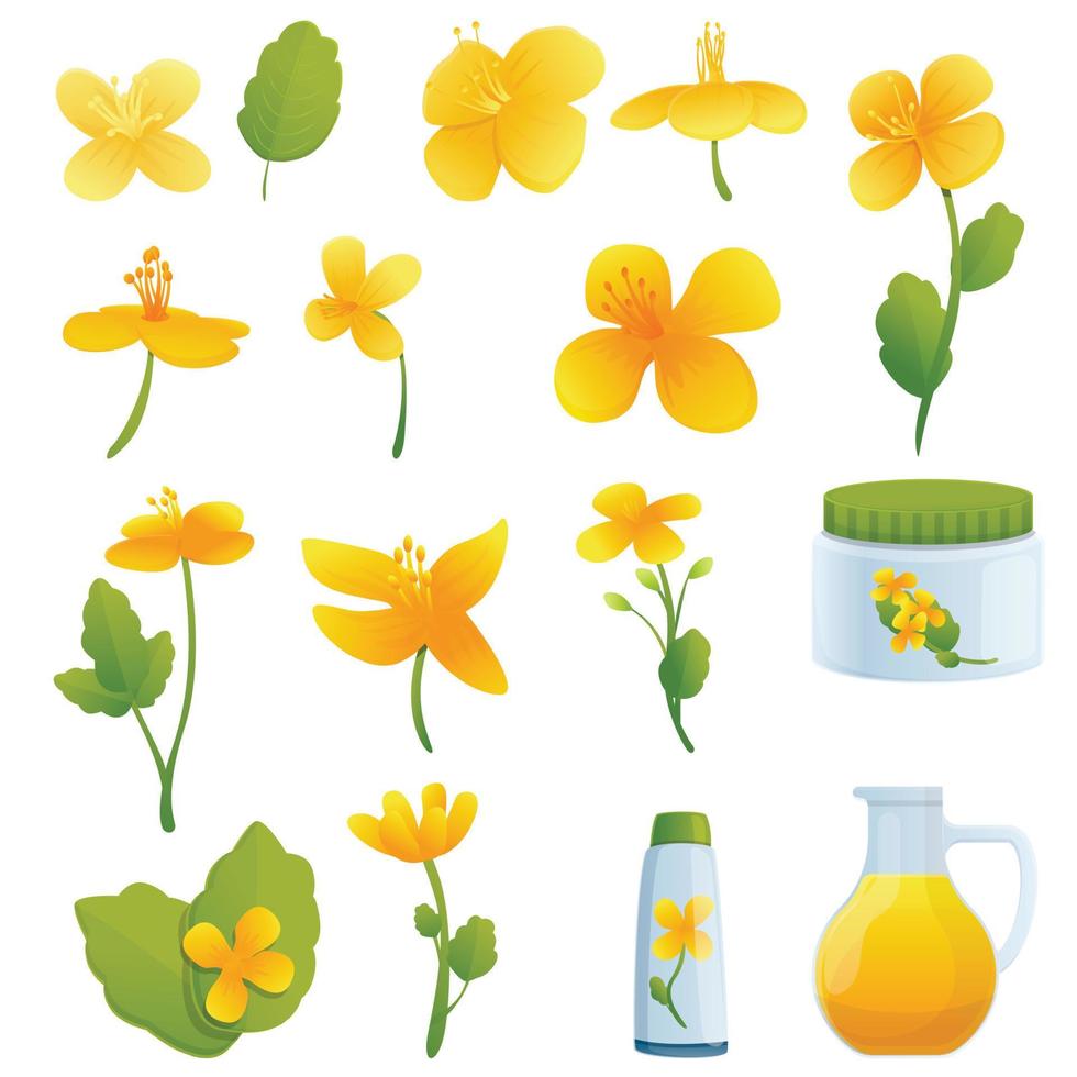 Celandine icons set, cartoon style vector