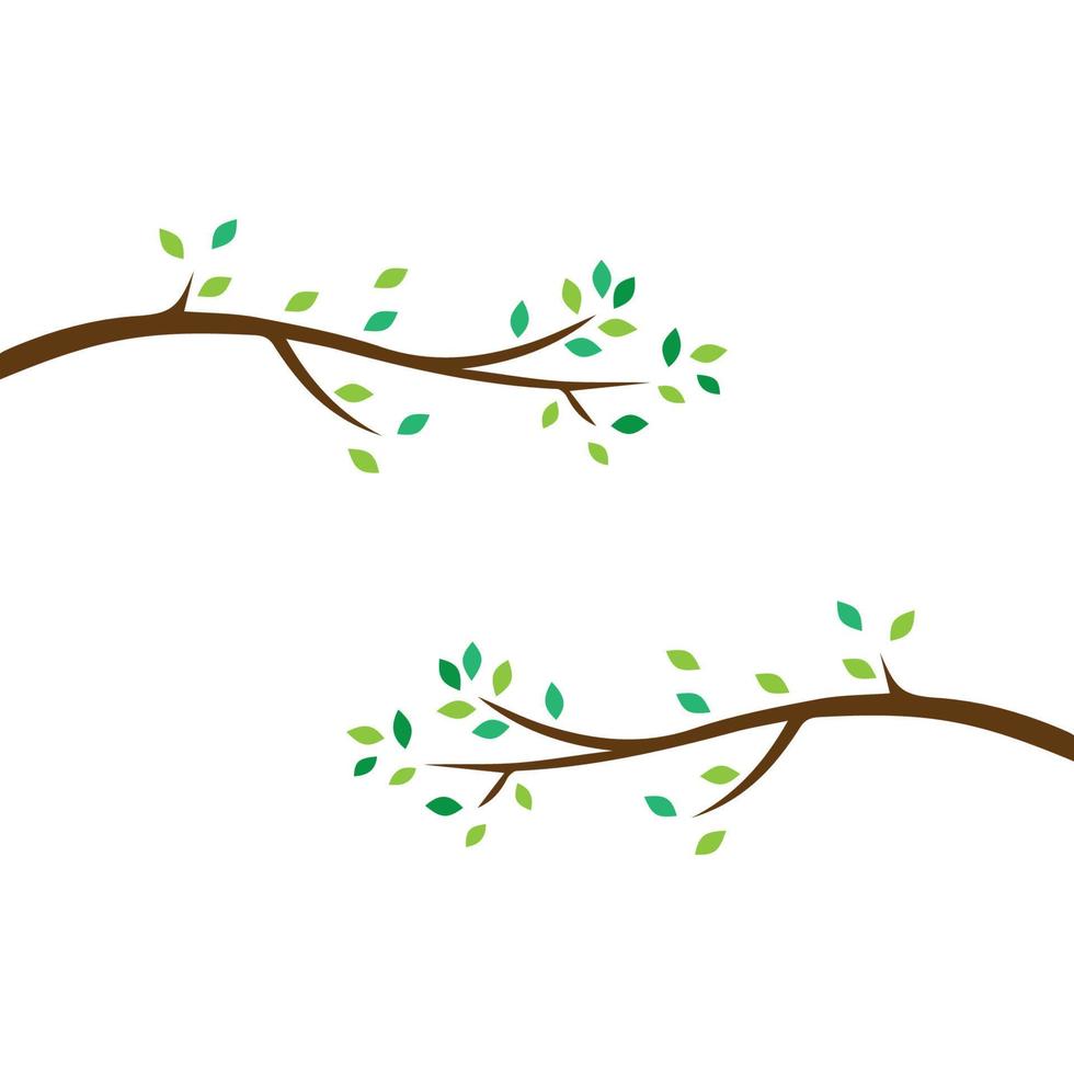 Vector branch , Hand drawn illustration of tree branch design template