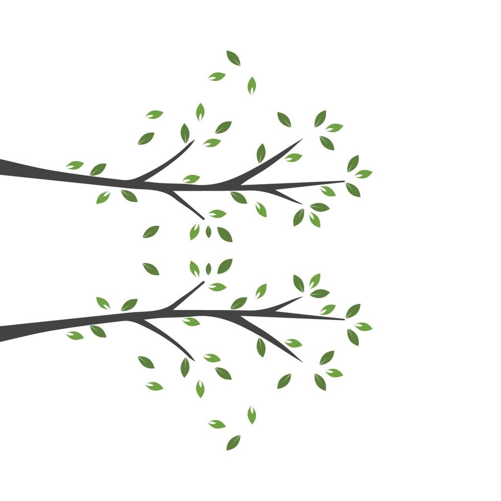 Vector branch , Hand drawn illustration of tree branch design template