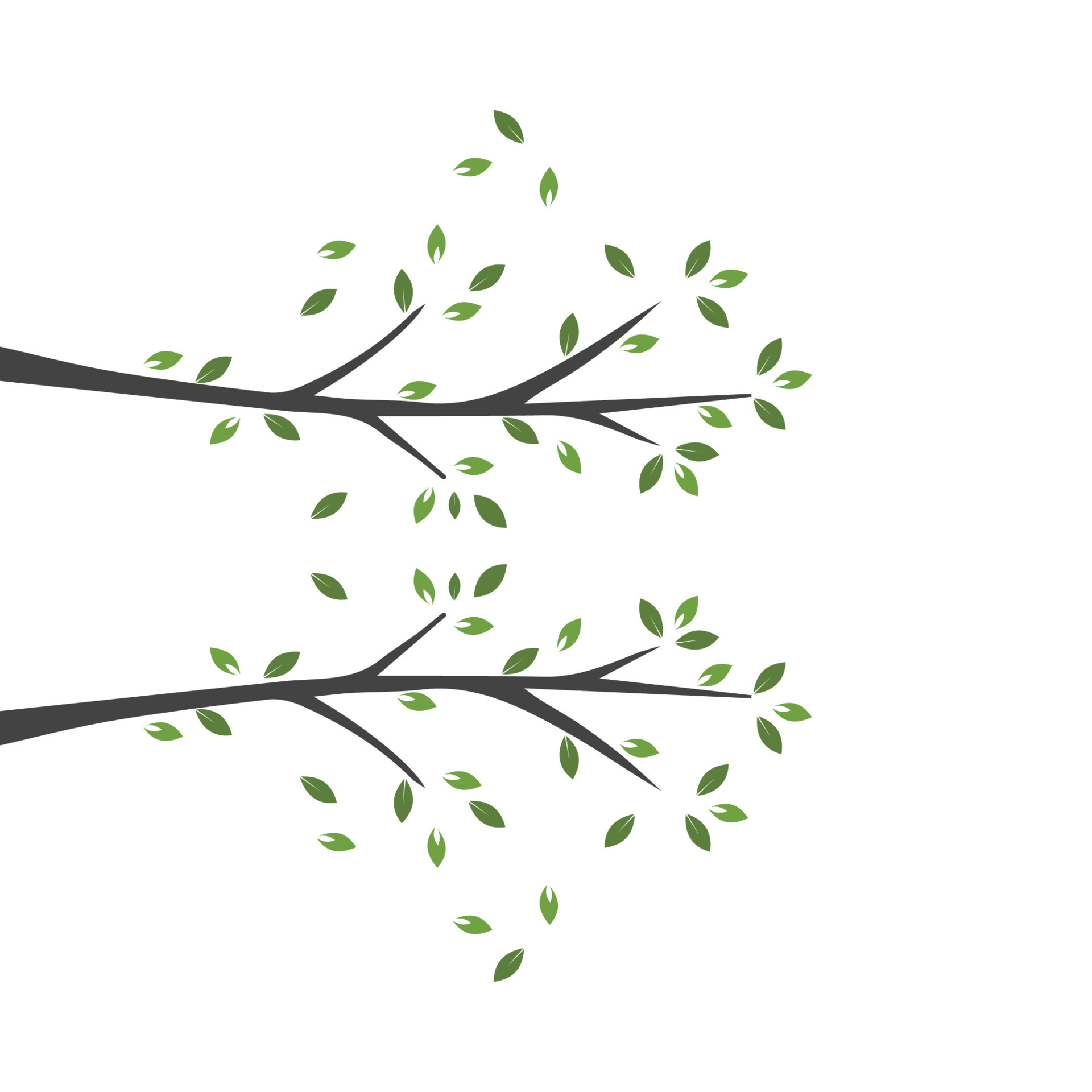 Vector branch , Hand drawn illustration of tree branch design template