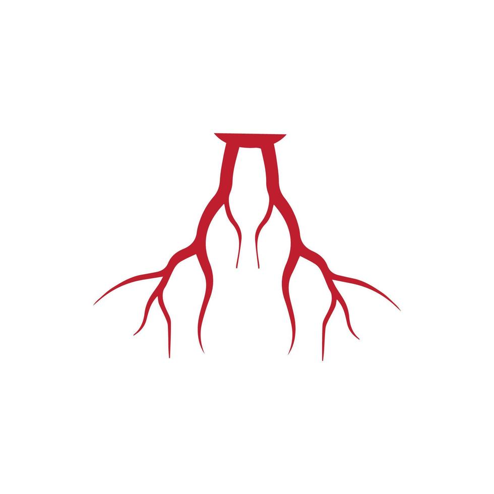 human veins, red blood vessels design and arteries Vector illustration isolated