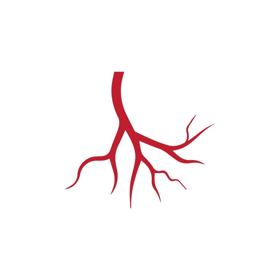 venas humanas, diseño de vasos sanguíneos rojos e ilustraciones vectoriales de arterias aisladas vector