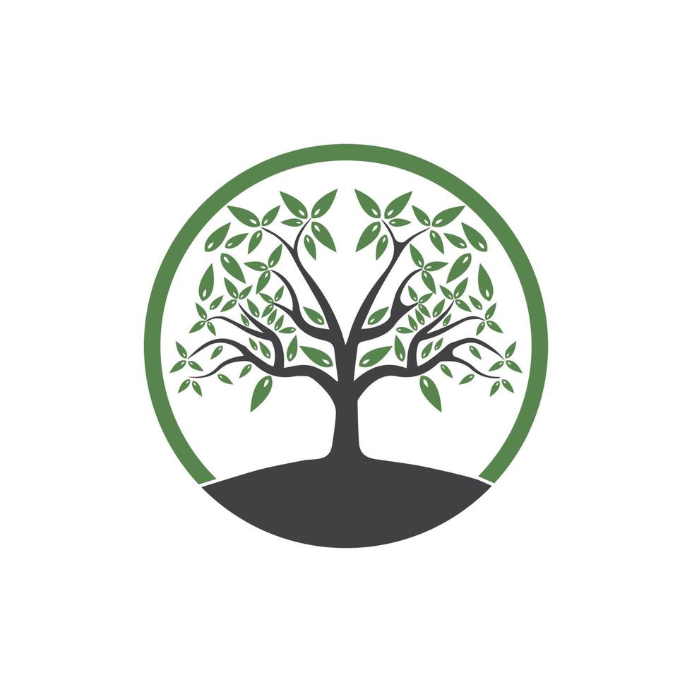 Tree Vector ,hand drawn,  illustration of  Olive tree vector design template