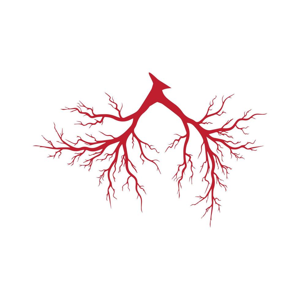 venas humanas, diseño de vasos sanguíneos rojos e ilustraciones vectoriales de arterias aisladas vector