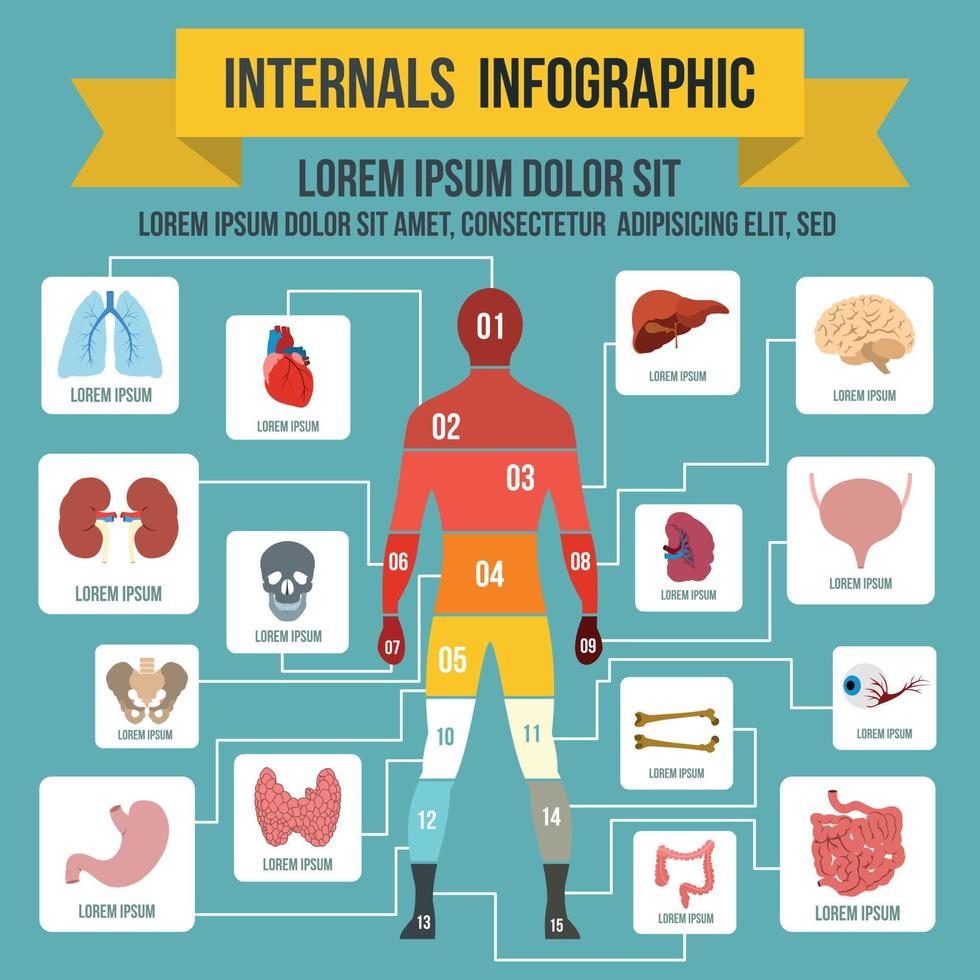 elementos infográficos internos, estilo plano vector