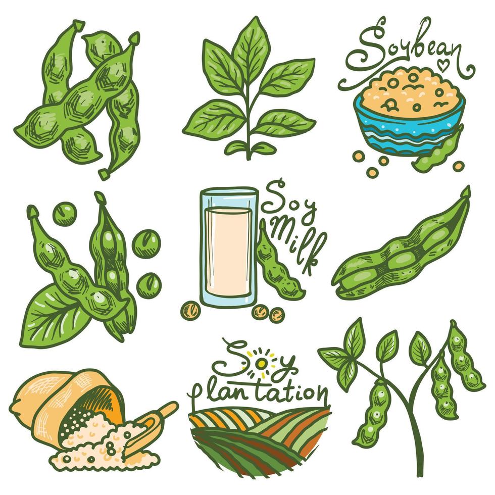 Soybean icons set, hand drawn style vector