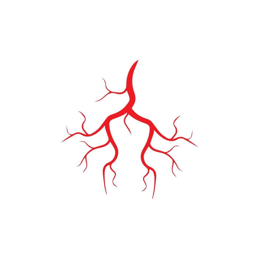 human veins, red blood vessels design and arteries Vector illustration isolated