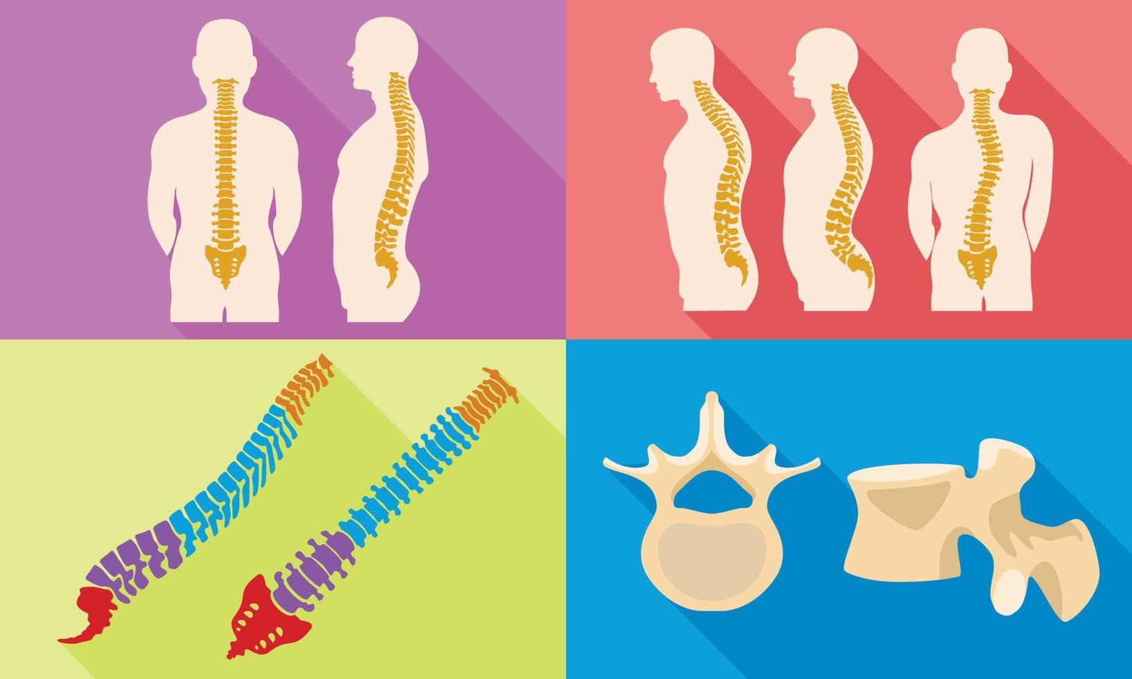 Spine icons set, flat style vector