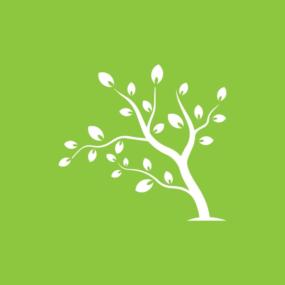 Vector branch , Hand drawn illustration of tree branch design template