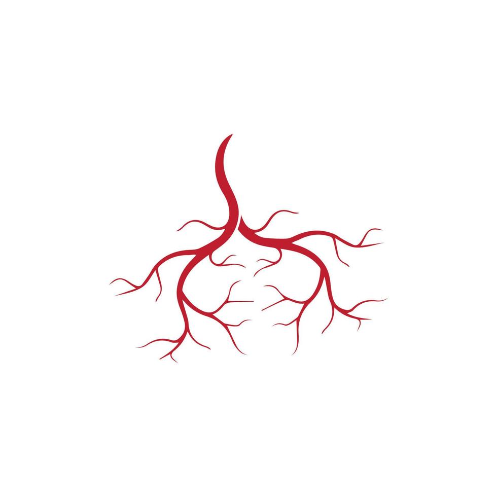 human veins, red blood vessels design and arteries Vector illustration isolated