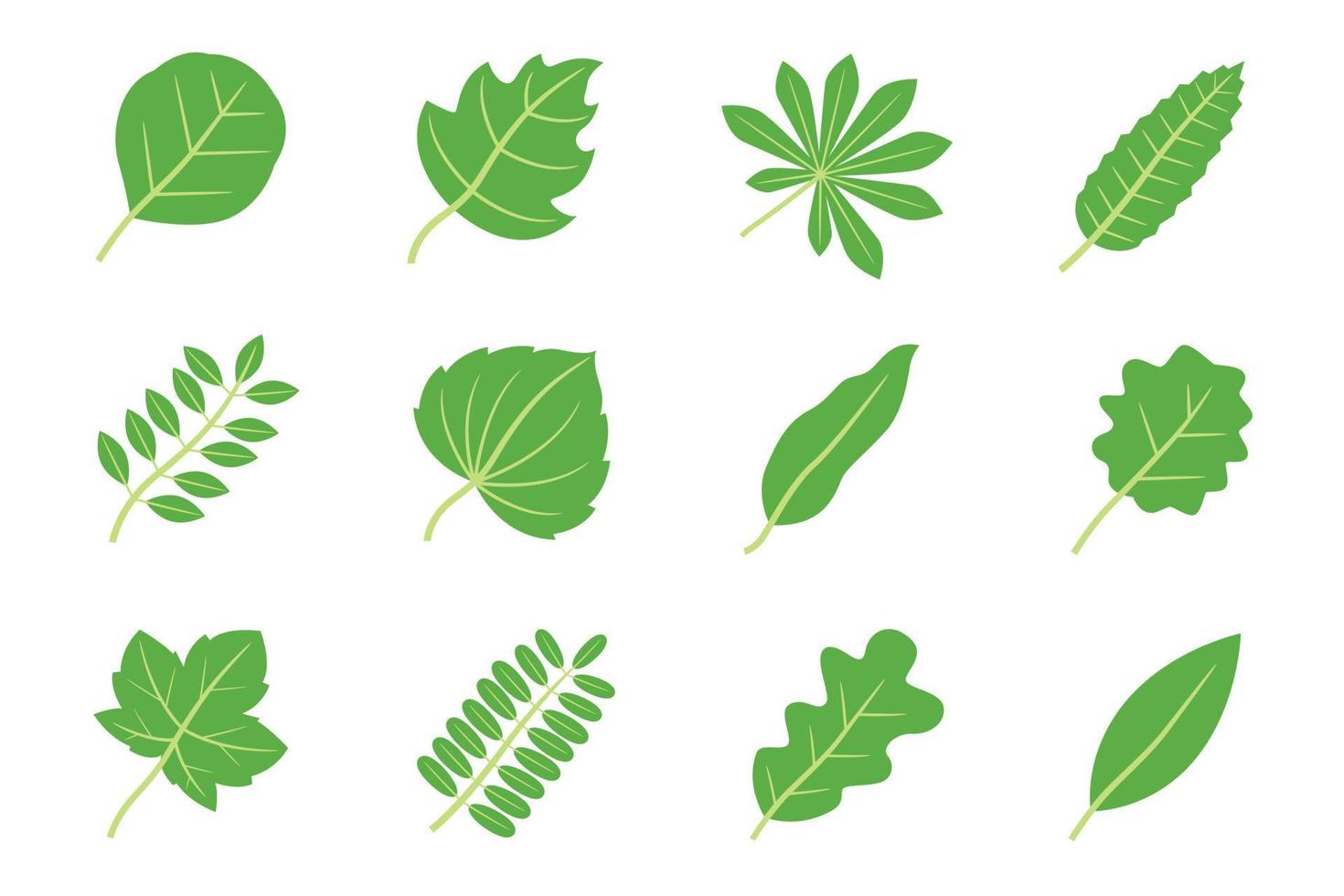 colección de hojas verdes vector de icono plano, ilustración de vector de concepto de naturaleza aislado sobre fondo blanco.