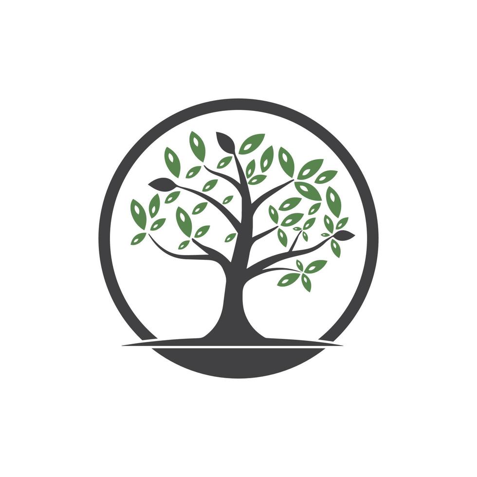 Tree Vector ,hand drawn,  illustration of  Olive tree vector design template