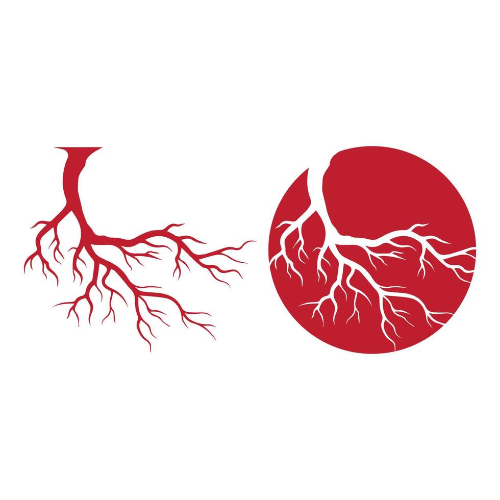 human veins, red blood vessels design and arteries Vector illustration isolated