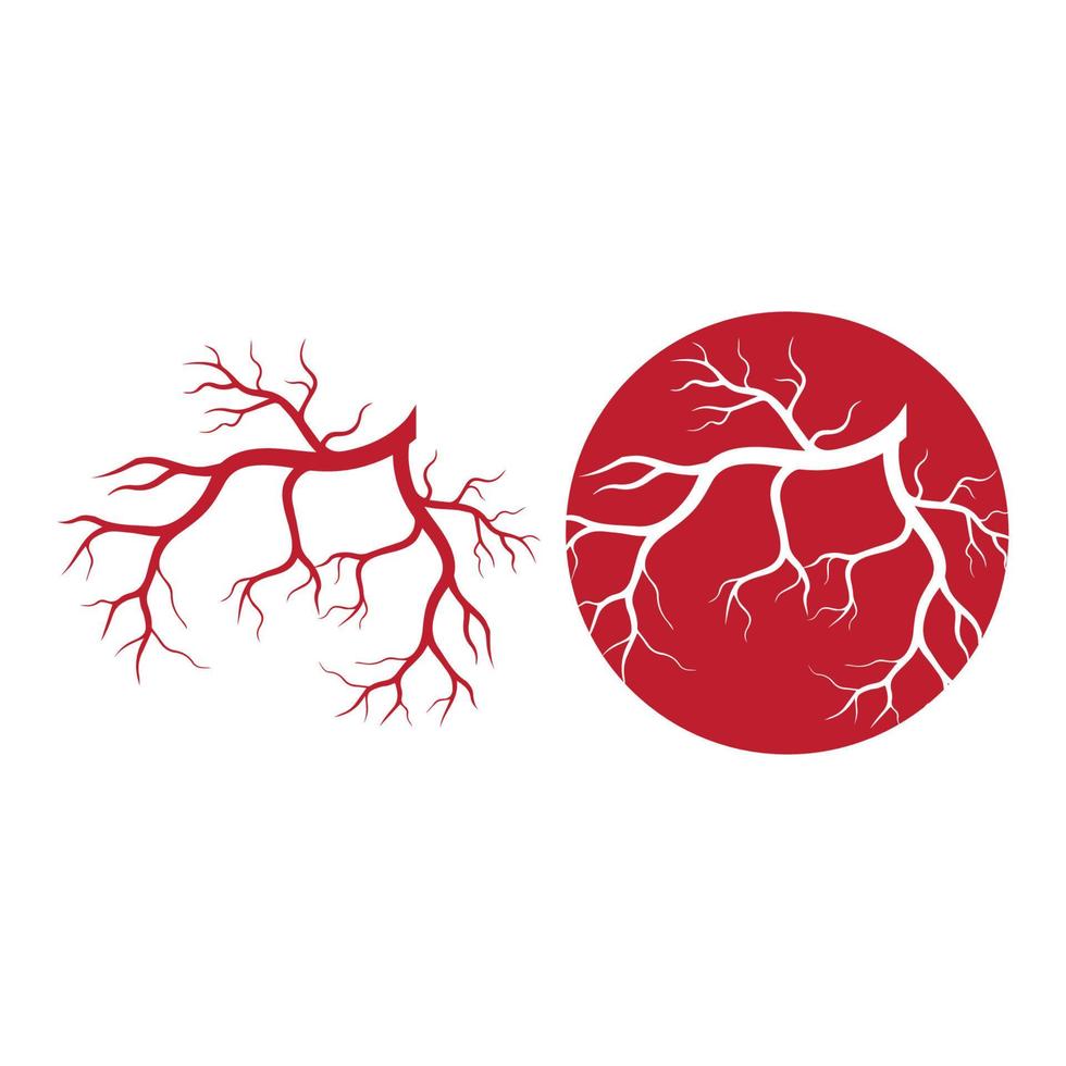 venas humanas, diseño de vasos sanguíneos rojos e ilustraciones vectoriales de arterias aisladas vector