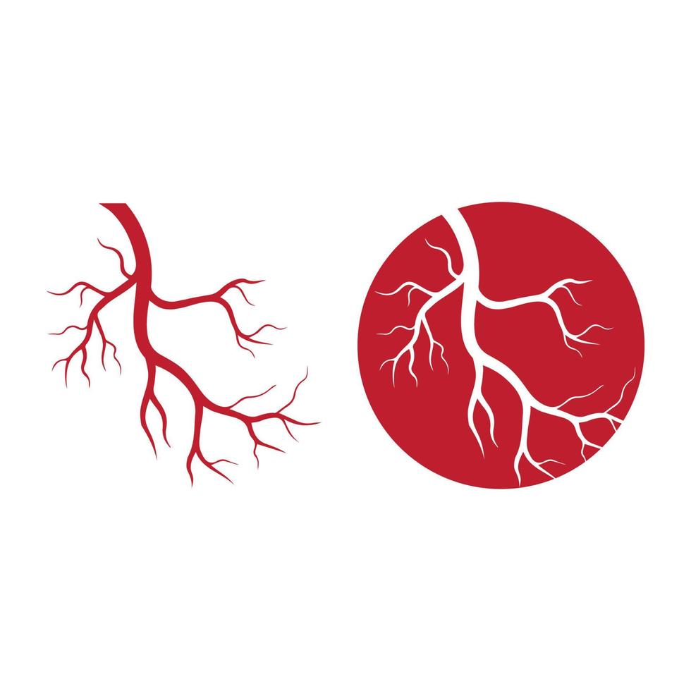 venas humanas, diseño de vasos sanguíneos rojos e ilustraciones vectoriales de arterias aisladas vector