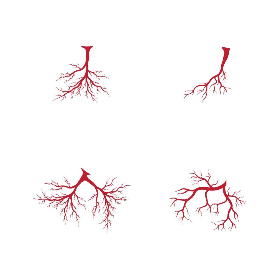 venas humanas, diseño de vasos sanguíneos rojos e ilustraciones vectoriales de arterias aisladas vector