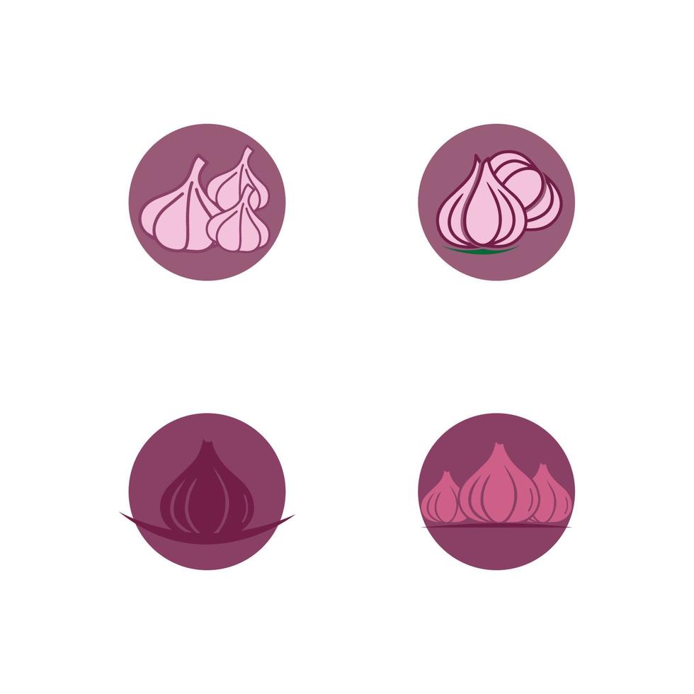 Garlic vector icon illustration design template