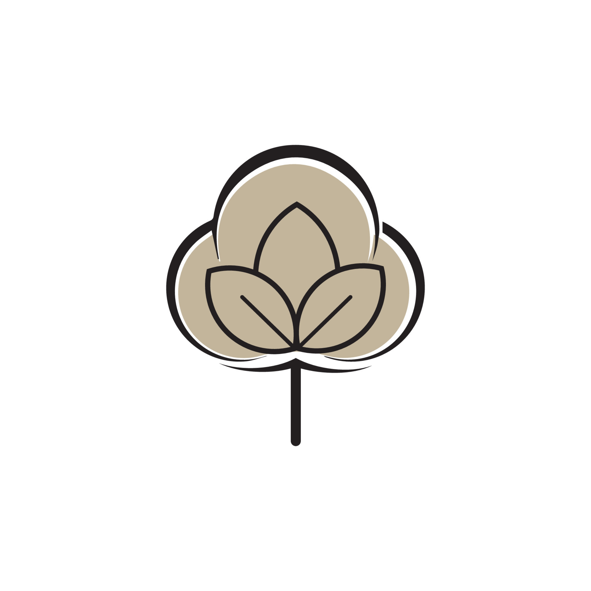 Beauty Cotton flower vector , Simple icon Cotton flower template symbol ...