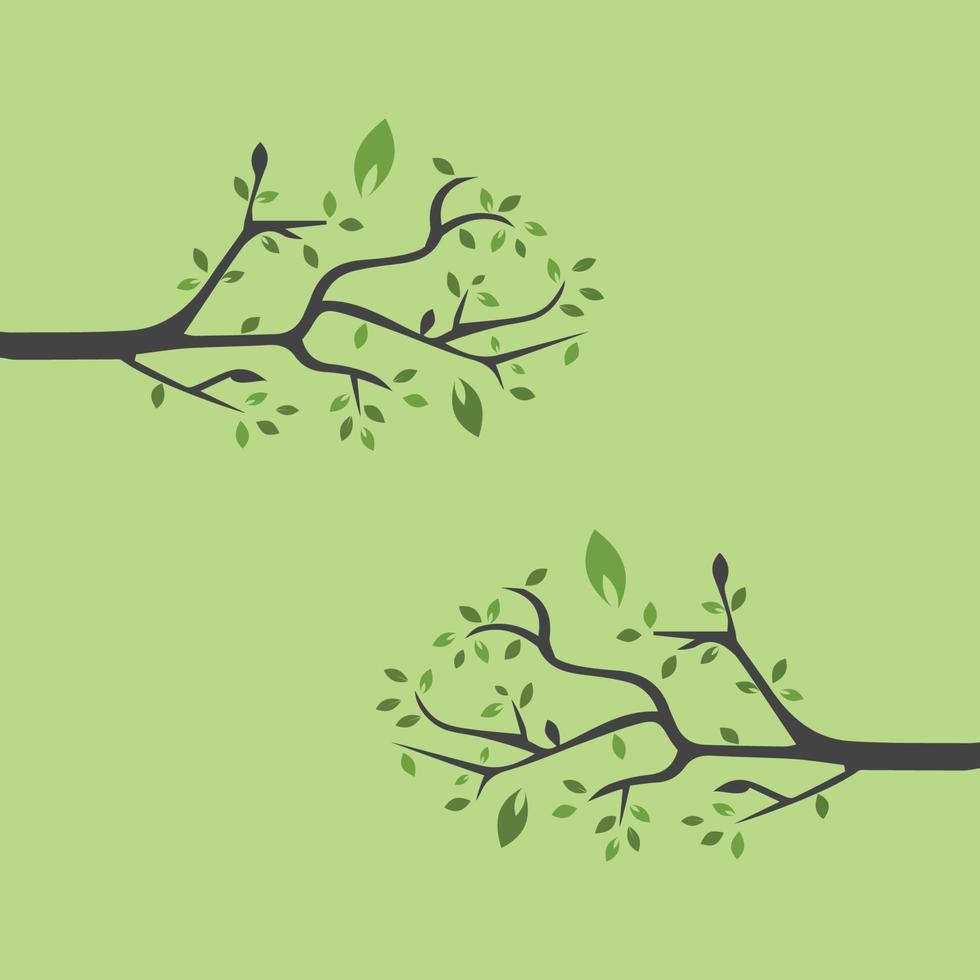 Vector branch , Hand drawn illustration of tree branch design template