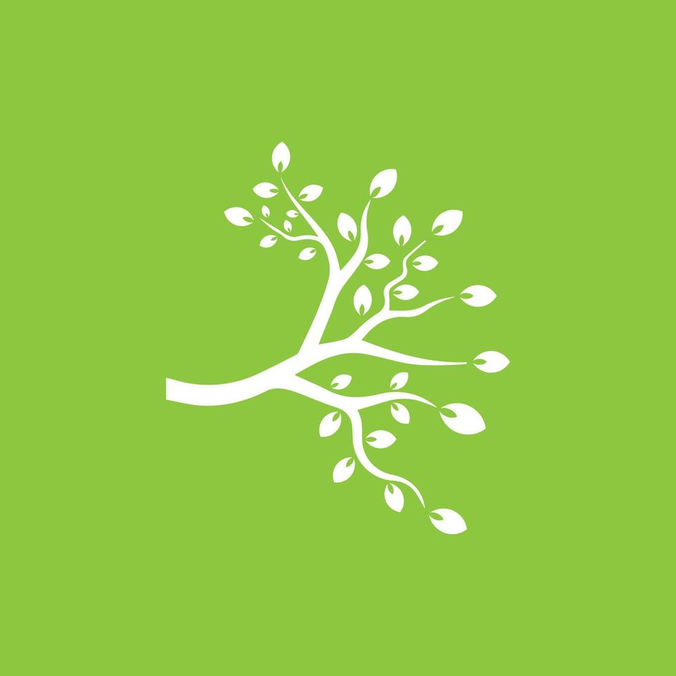 Vector branch , Hand drawn illustration of tree branch design template