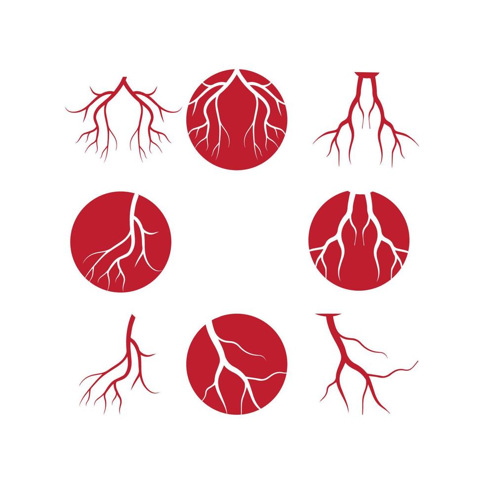 venas humanas, diseño de vasos sanguíneos rojos e ilustraciones vectoriales de arterias aisladas vector