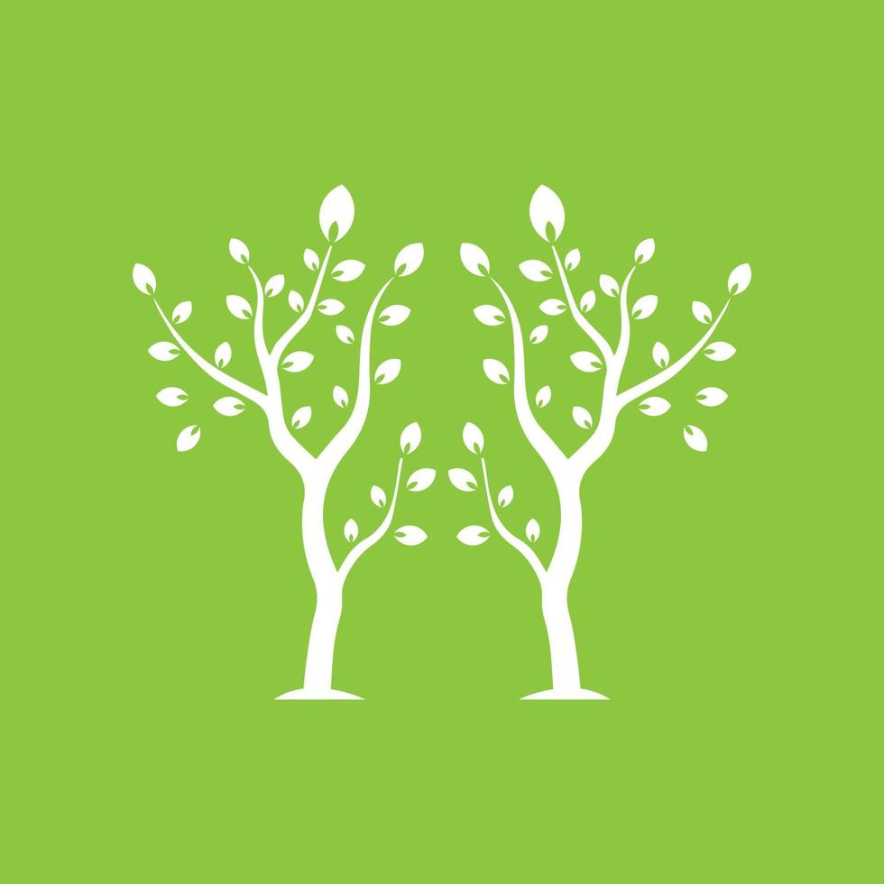 Vector branch , Hand drawn illustration of tree branch design template