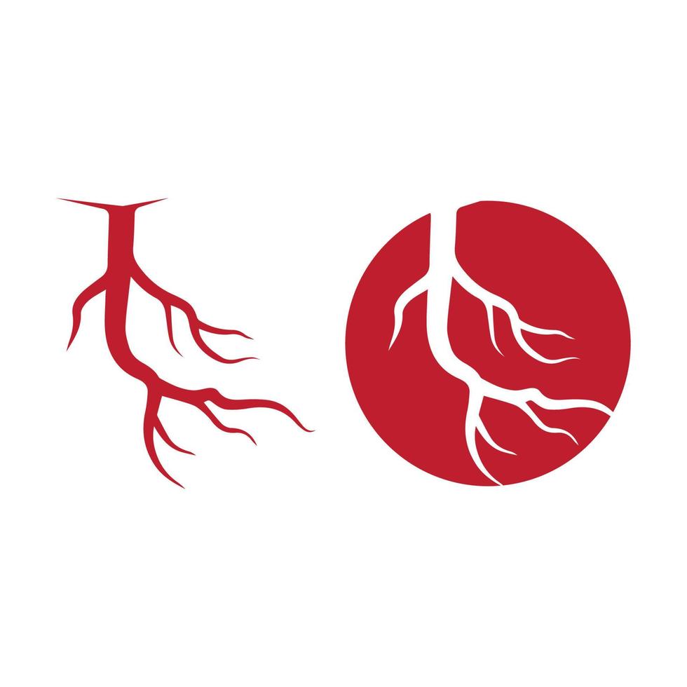 human veins, red blood vessels design and arteries Vector illustration isolated