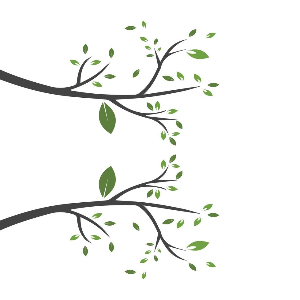 Vector branch , Hand drawn illustration of tree branch design template
