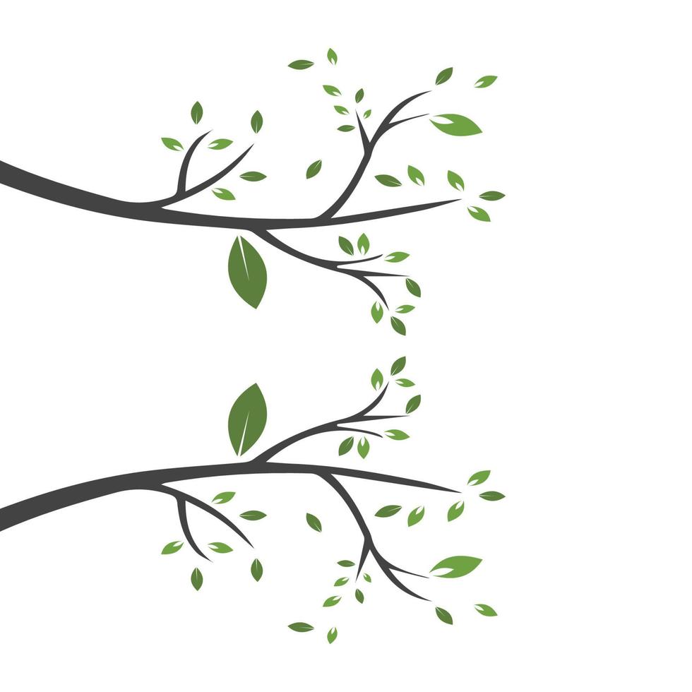 Vector branch , Hand drawn illustration of tree branch design template