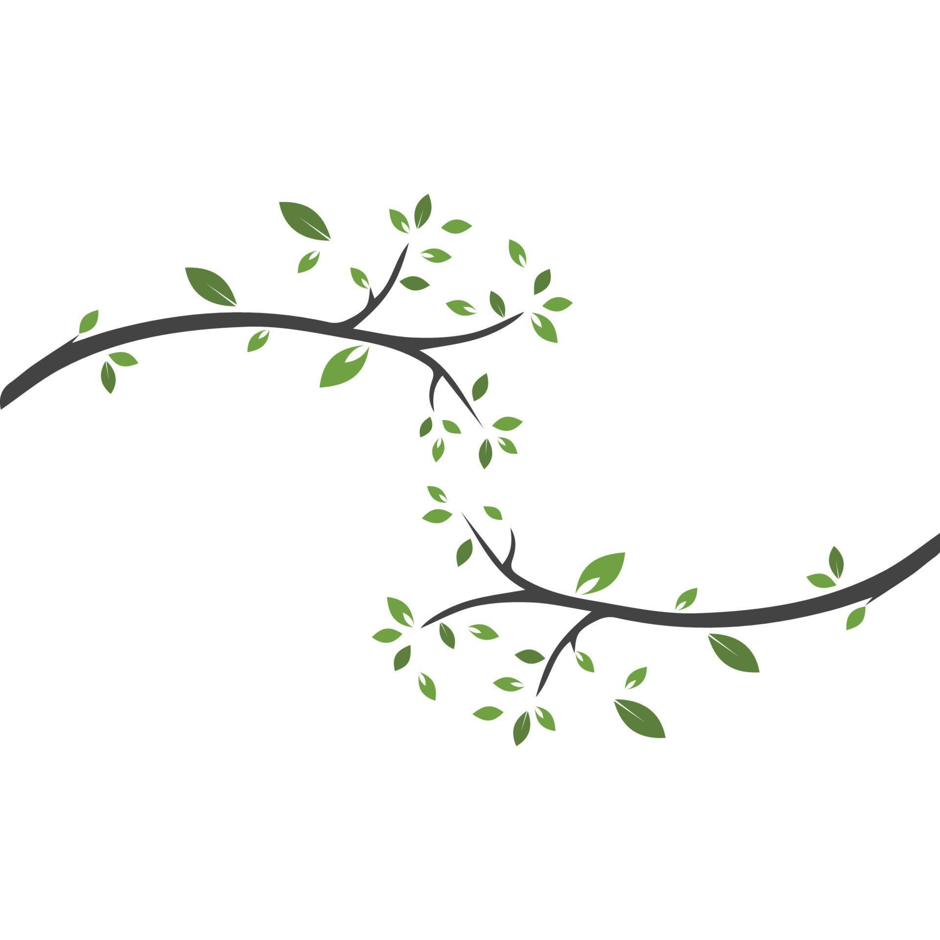 Vector branch , Hand drawn illustration of tree branch design template