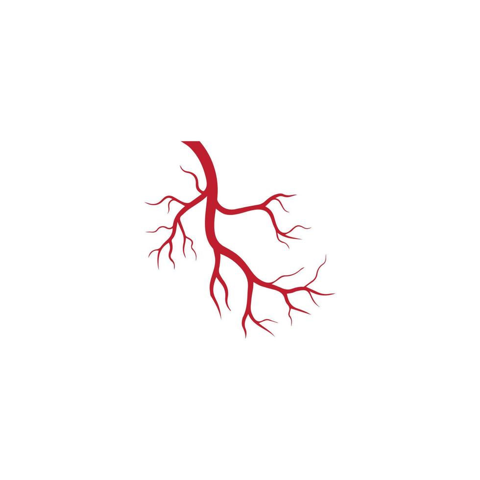 human veins, red blood vessels design and arteries Vector illustration isolated