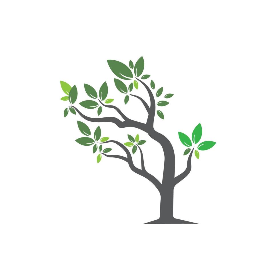 Tree Vector ,hand drawn,  illustration of  Olive tree vector design template