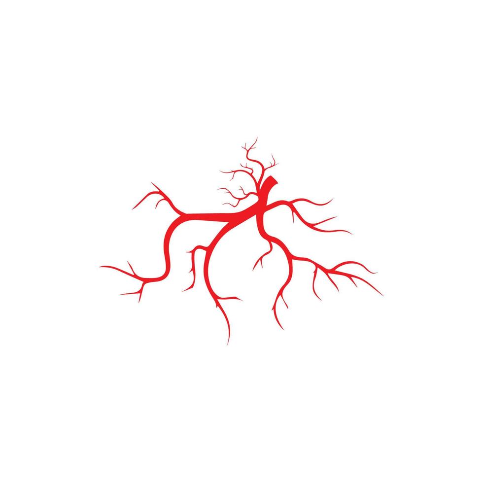 venas humanas, diseño de vasos sanguíneos rojos e ilustraciones vectoriales de arterias aisladas vector