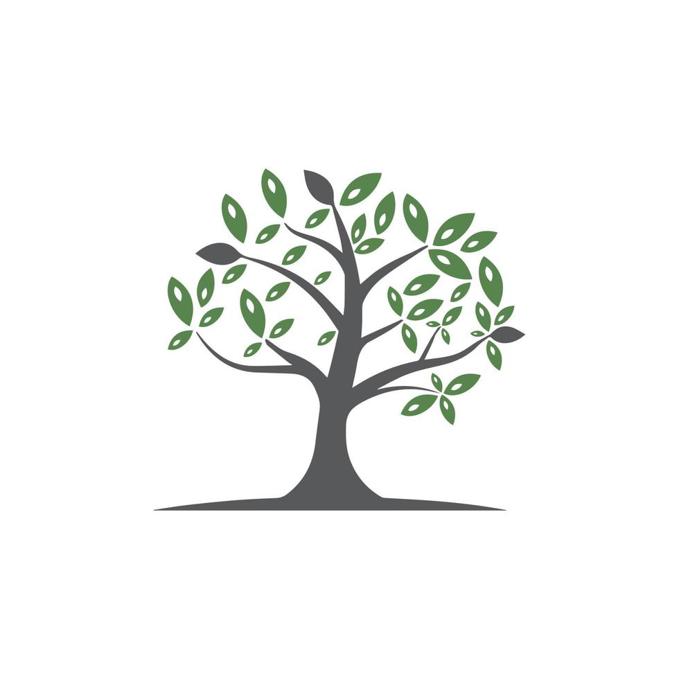 Tree Vector ,hand drawn,  illustration of  Olive tree vector design template