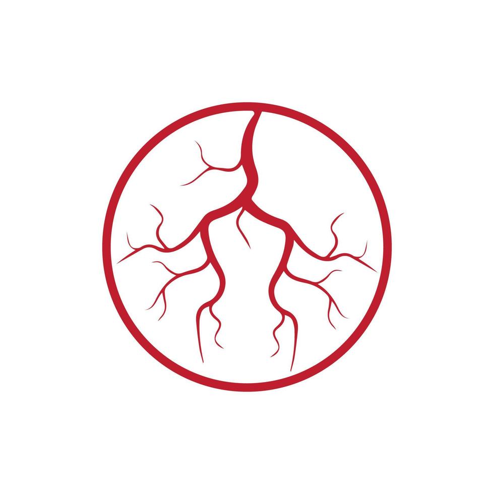 human veins, red blood vessels design and arteries Vector illustration isolated