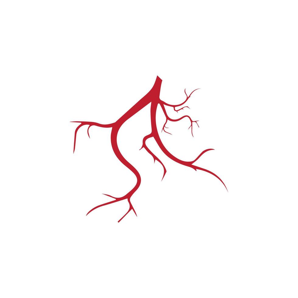 venas humanas, diseño de vasos sanguíneos rojos e ilustraciones vectoriales de arterias aisladas vector