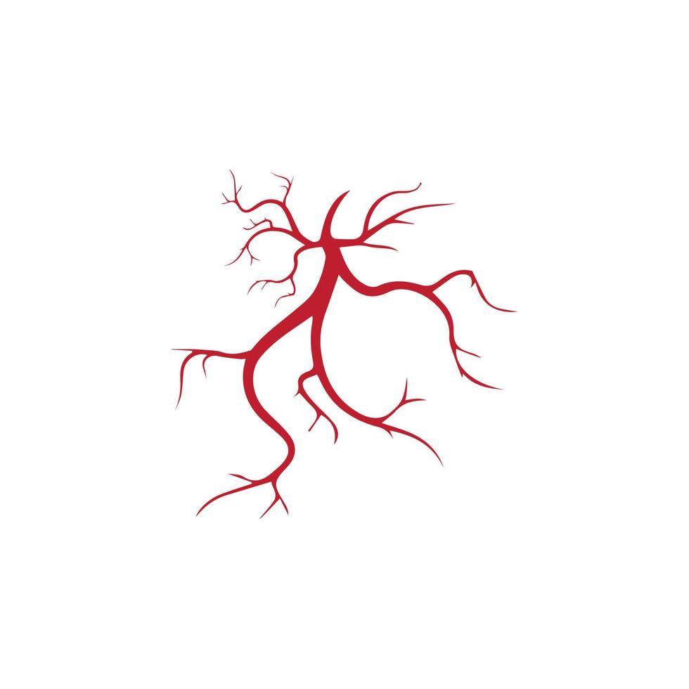 venas humanas, diseño de vasos sanguíneos rojos e ilustraciones vectoriales de arterias aisladas vector