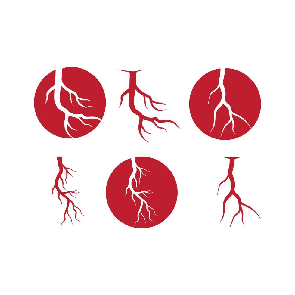 venas humanas, diseño de vasos sanguíneos rojos e ilustraciones vectoriales de arterias aisladas vector