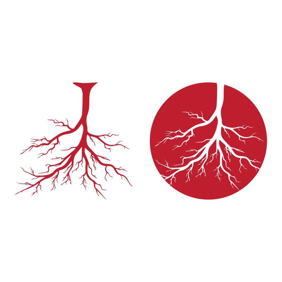 human veins, red blood vessels design and arteries Vector illustration isolated