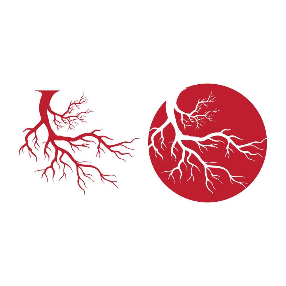 venas humanas, diseño de vasos sanguíneos rojos e ilustraciones vectoriales de arterias aisladas vector